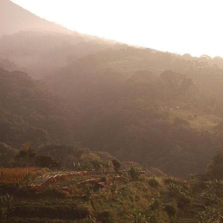 Pondok Kebun Gunung ブドゥグル エクステリア 写真
